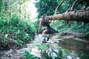 BIB: 
                            <button type="button" onclick="openModal(25430392)" class="btn btn-primary btn-sm float-right btn-popup" data-toggle="modal" data-target=".modal-high-quality">
                        <i class="fas fa-shopping-cart"></i> Add to Cart
                    </button>
                                            <button type="button" onclick="isThisMe(25430392, true)" class="btn btn-success btn-sm float-right btn-popup btn-isme hidden" data-toggle="tooltip" data-placement="bottom" title="นี่คือรูปของคุณใช่ไหม คลิกที่นี่เพื่อเอาเข้าอัลบั้ม">
                        <i class="fas fa-plus"></i> Add to album
                    </button>
                    <button type="button" onclick="isThisMe(25430392, false)" class="btn btn-warning btn-sm float-right btn-popup btn-isnotme hidden">
                        <i class="fas fa-ban"></i> Remove from album
                    </button>